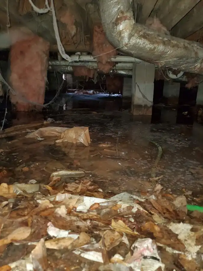 Crawl space flood assessment for Leak Detection & Repair in Edina