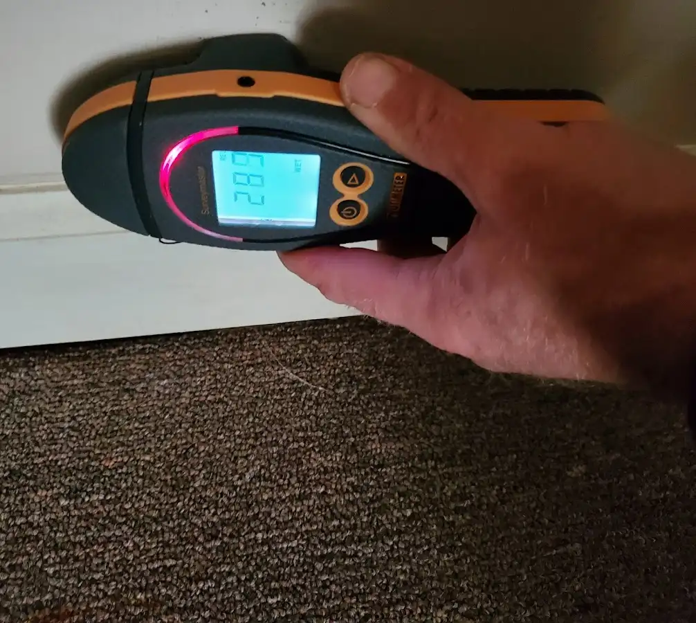 Moisture detection at baseboard during Mold Inspection & Testing in Edina
